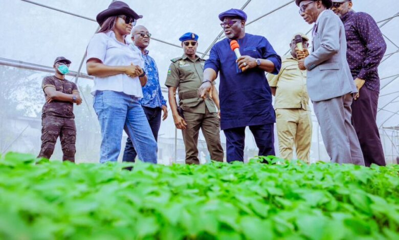 The N2bn Oborevwori Special Agric Intervention Initiative