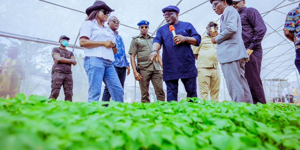 The N2bn Oborevwori Special Agric Intervention Initiative