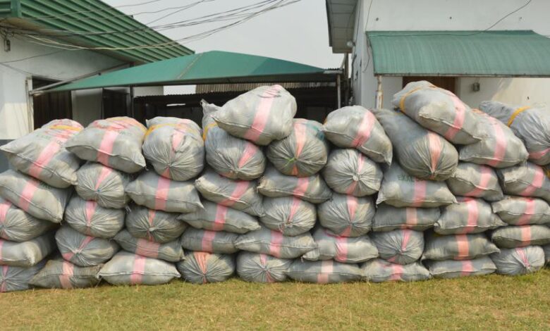 Western Marine Customs Seizes Over 4,000 Parcels of Cannabis in One Month