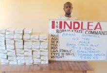 NDLEA Nabs Insurgents’ Drug Supplier, Pregnant Woman, 22 Other Suspects for Trafficking